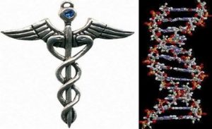 DNA Analysis of Armenians