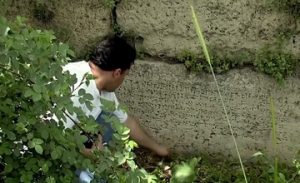 Ancient Cuneiform Inscriptions of the Kingdom of Van