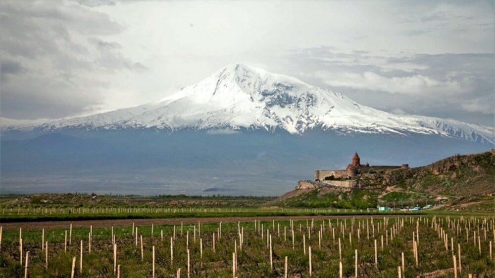 Healing Wine Drinking - Traditions of Ancient Armenia