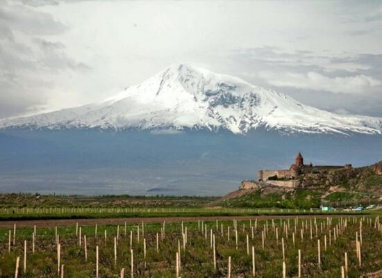 Healing Wine Drinking - Traditions of Ancient Armenia